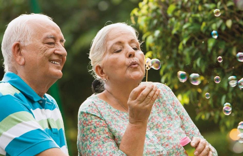 PCL (Personal Loan Scheme For Pensioners)