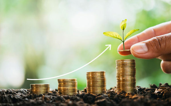Saving Deposits Scheme